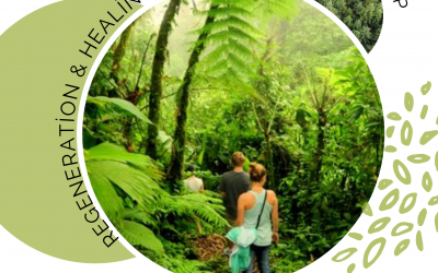 Quaker Sustainability Sojourn in Mexico