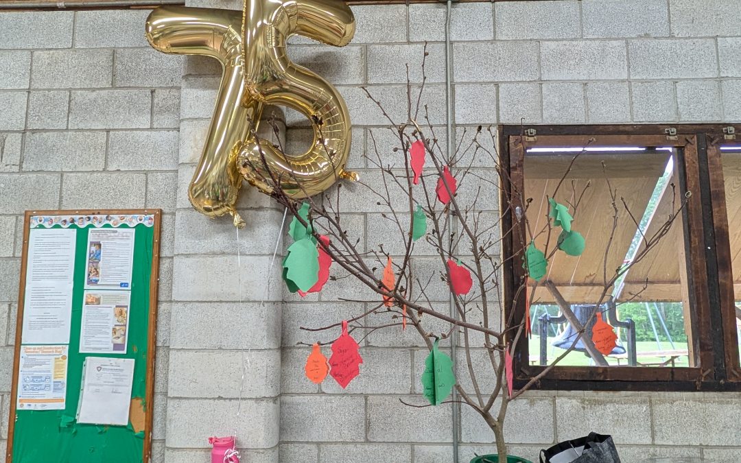Quaker Knoll Giving Tree: new request!