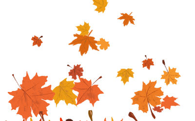 Fall Gathering: Schedule & RSVP