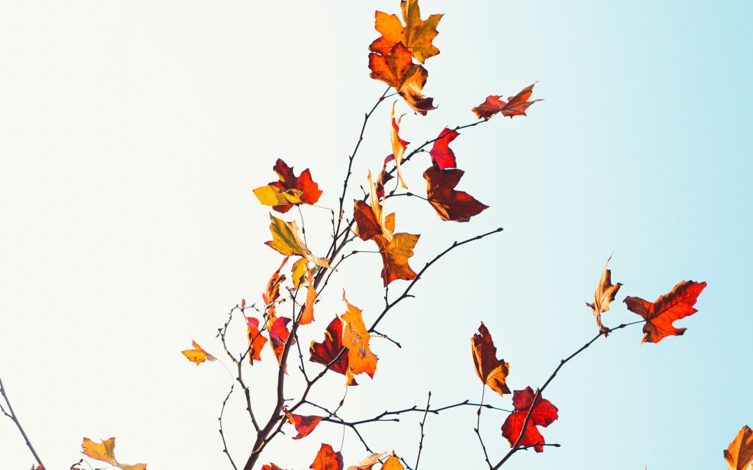 2026 Fall Gathering Materials