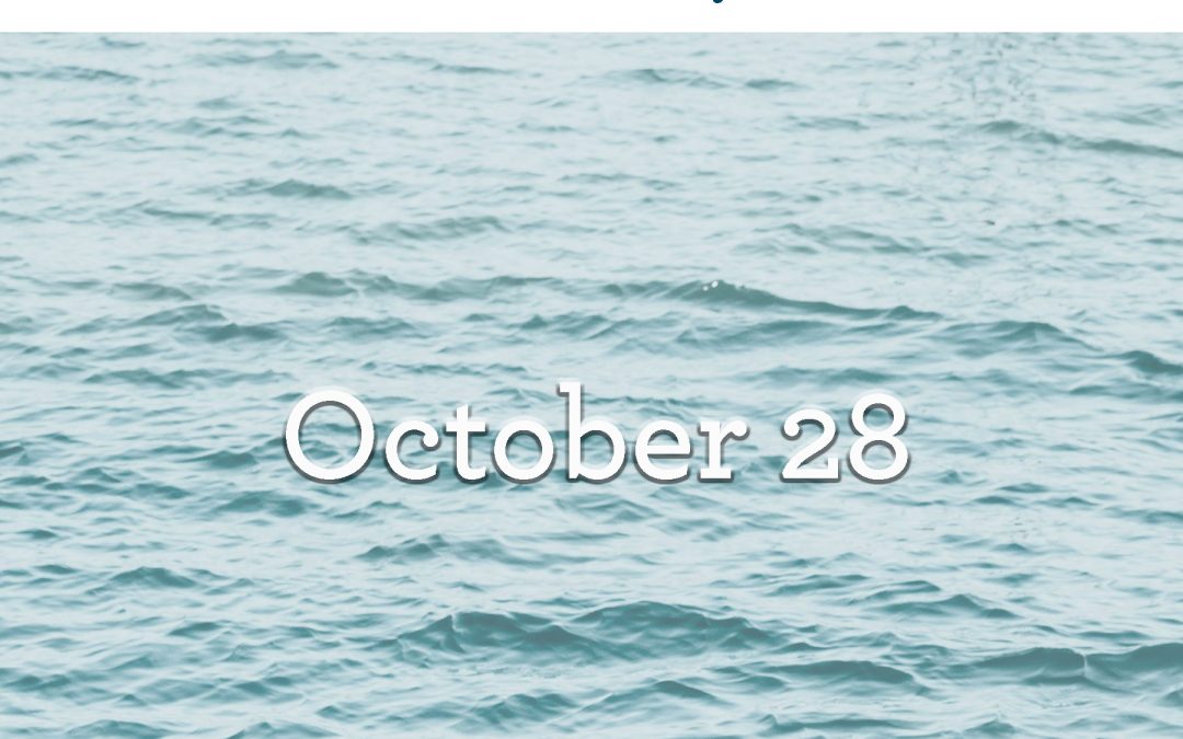 October 28: The Water We Swim In